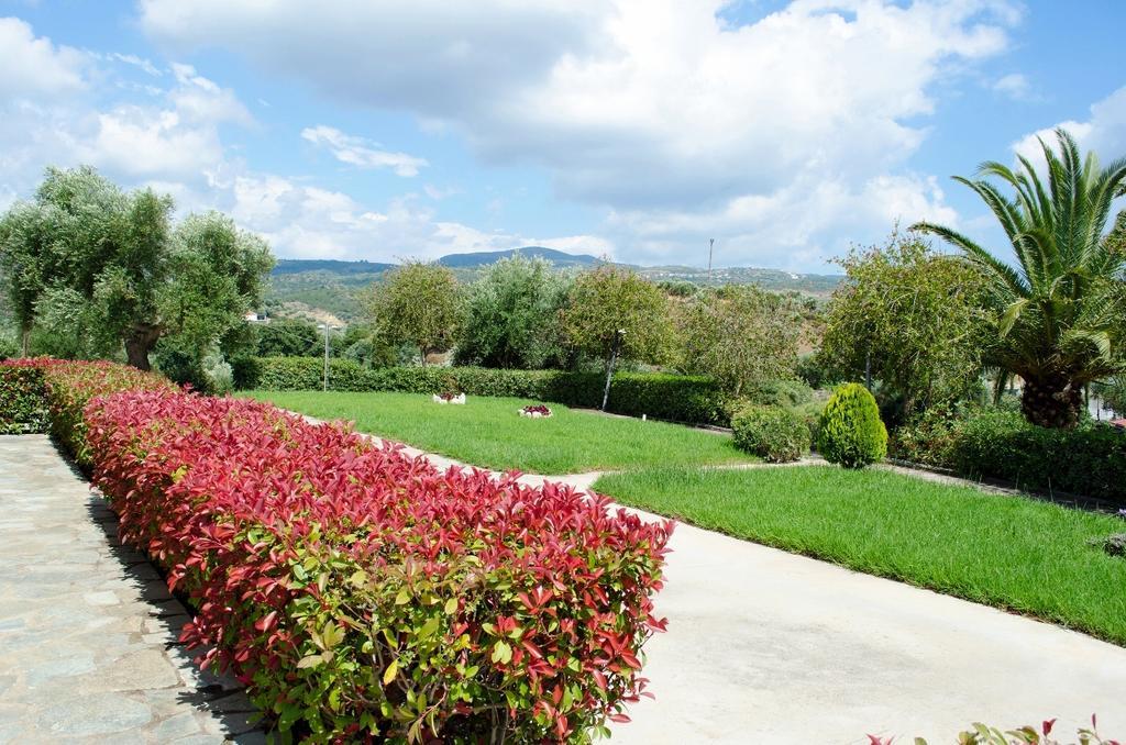 Apartment Thea Studios Finikounta